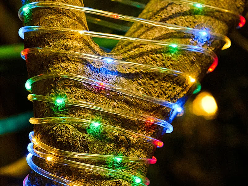 Η LED ταινία αναμμένη πολύχρωμη σε δέντρο τη νύχτα